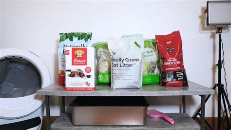 12 Best Cat Litters of 2024: Unbiased Review .